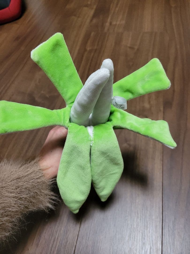 ポケモンぬいぐるみ年末セール