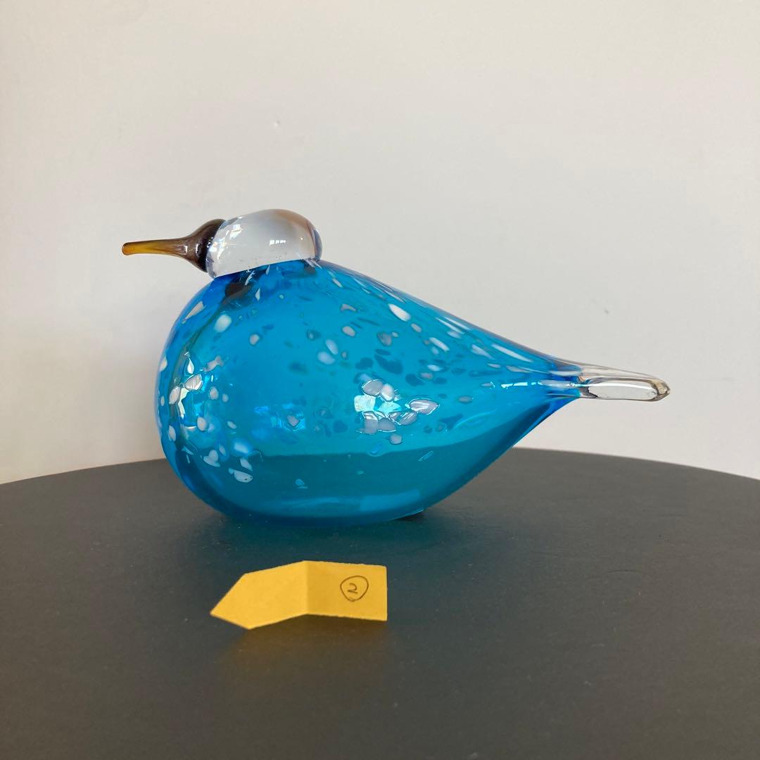 イッタラバード　ブルーフィンチ　blue finch ②