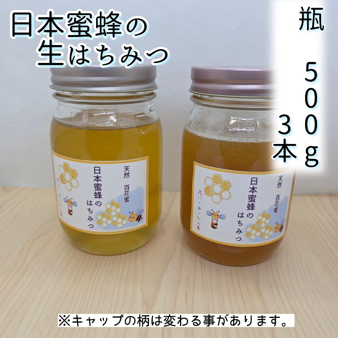 日本蜜蜂　百花蜜　500g×3本　1.5kg　3群味比べセット