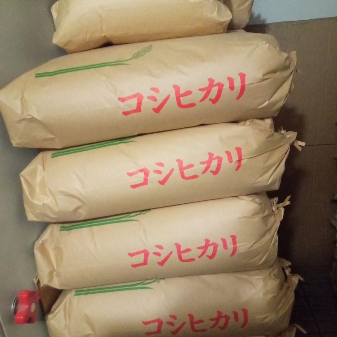 R7年産 新米 群馬県産 コシヒカリ 10キロ 玄米 送料込 ②