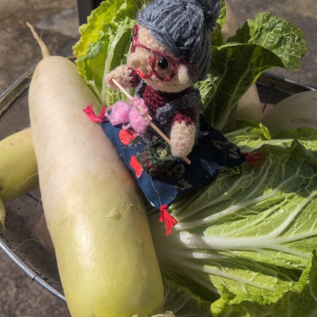 季節の野菜セット無農薬８０サイズいっぱい