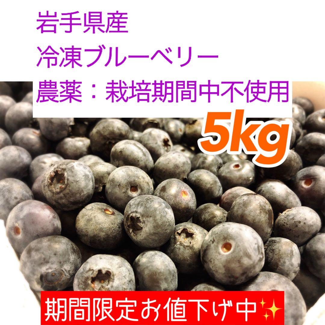 岩手県産 ブルーベリー 冷凍 5kg