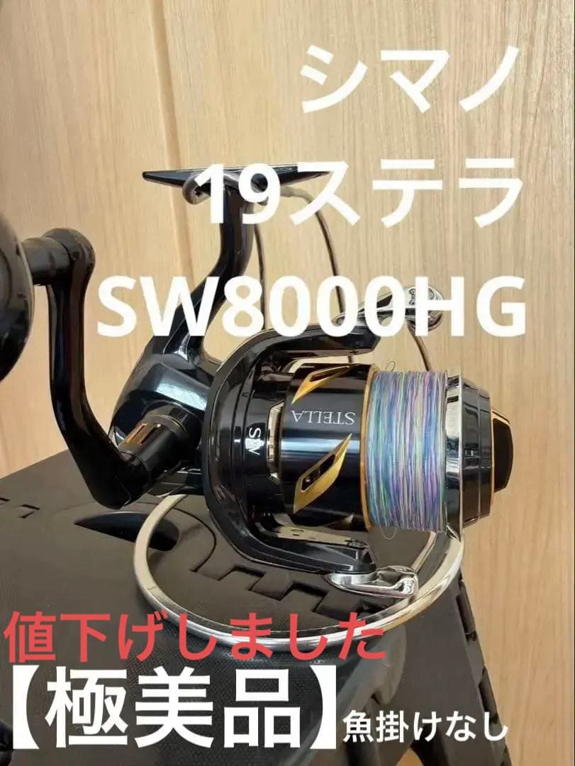 シマノ 19ステラSW8000HG 【使用1回・魚掛けなし・極美品】