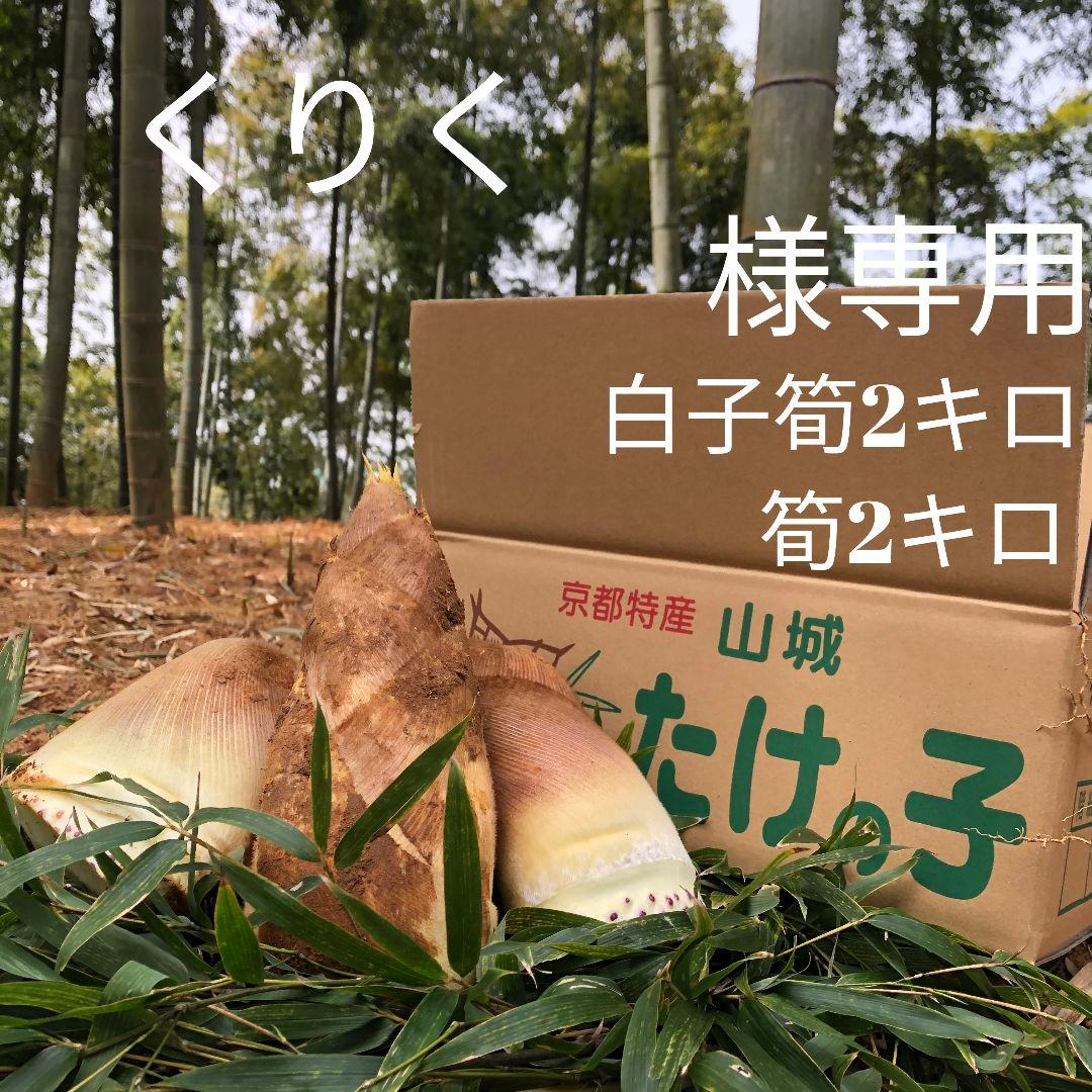 くりく 白子筍2キロ筍2キロ