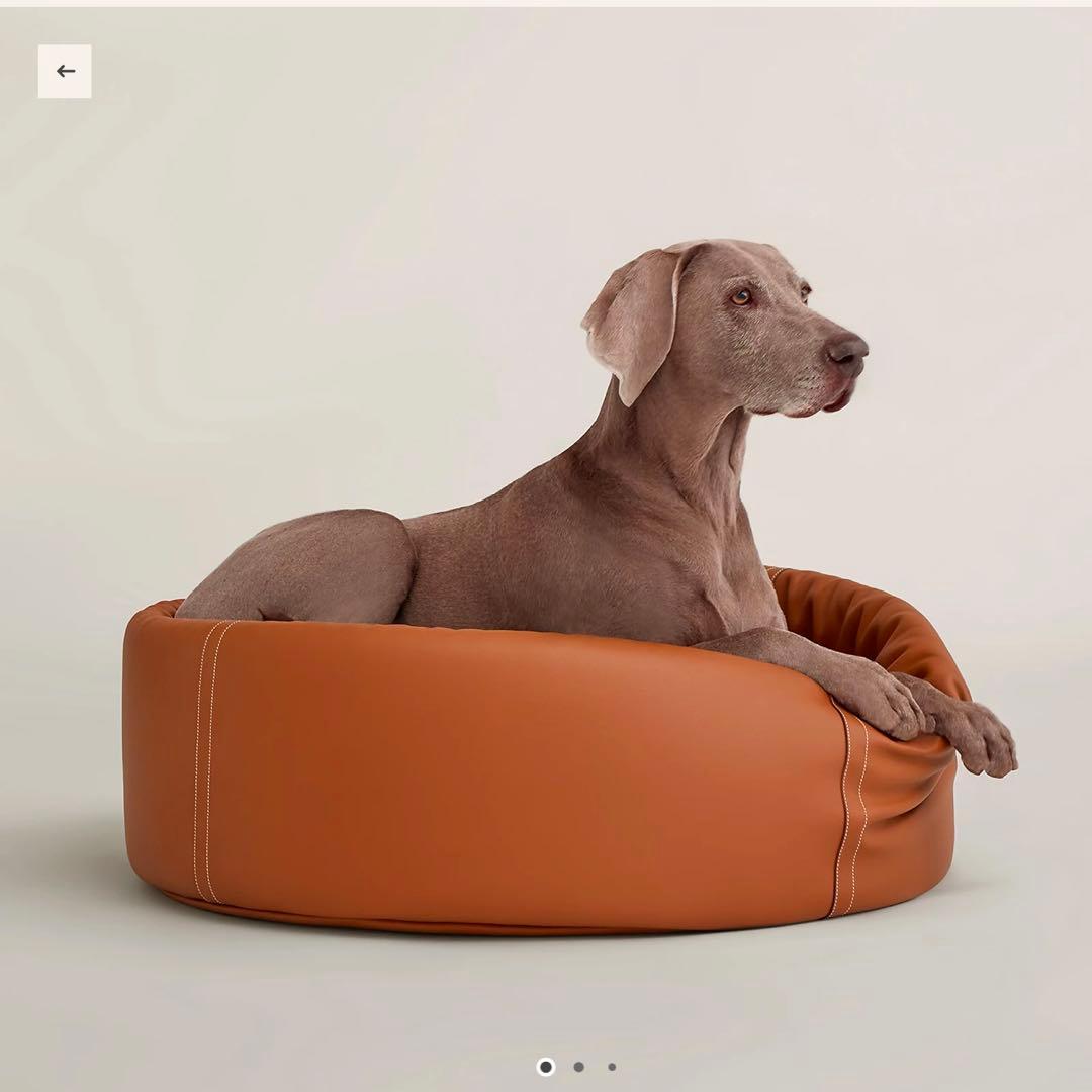 【新品未使用】犬用バスケット 《パタプーフ》 L