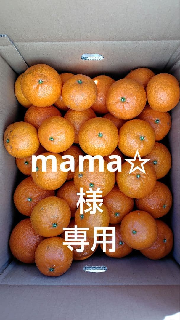 津之輝10㎏(家庭用)mama✩#1