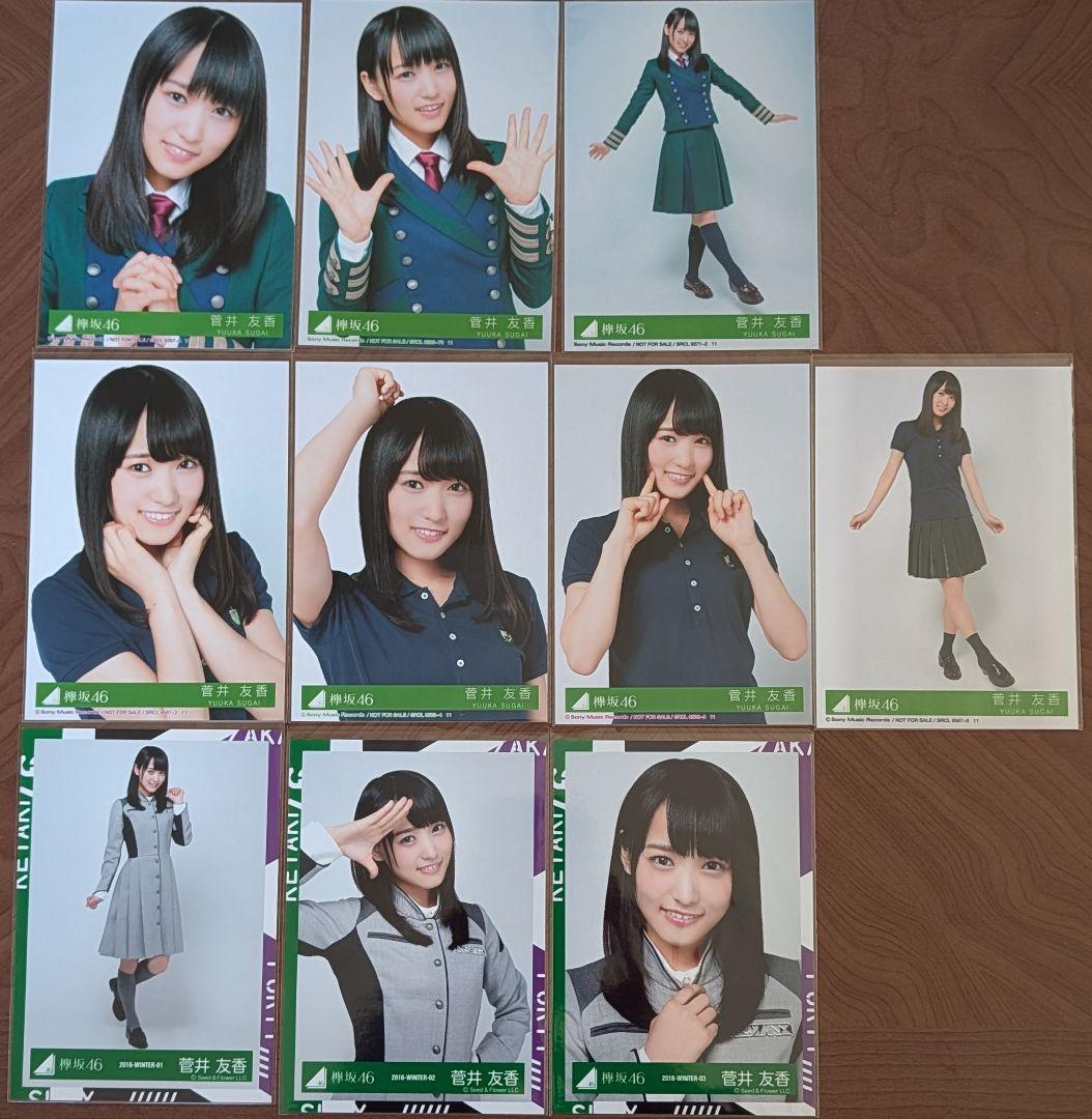 欅坂46 菅井友香 生写真 24コンプ まとめ売り