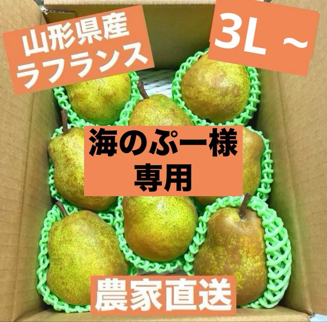 【海のぷー】ラフランス2キロ5箱　3L〜
