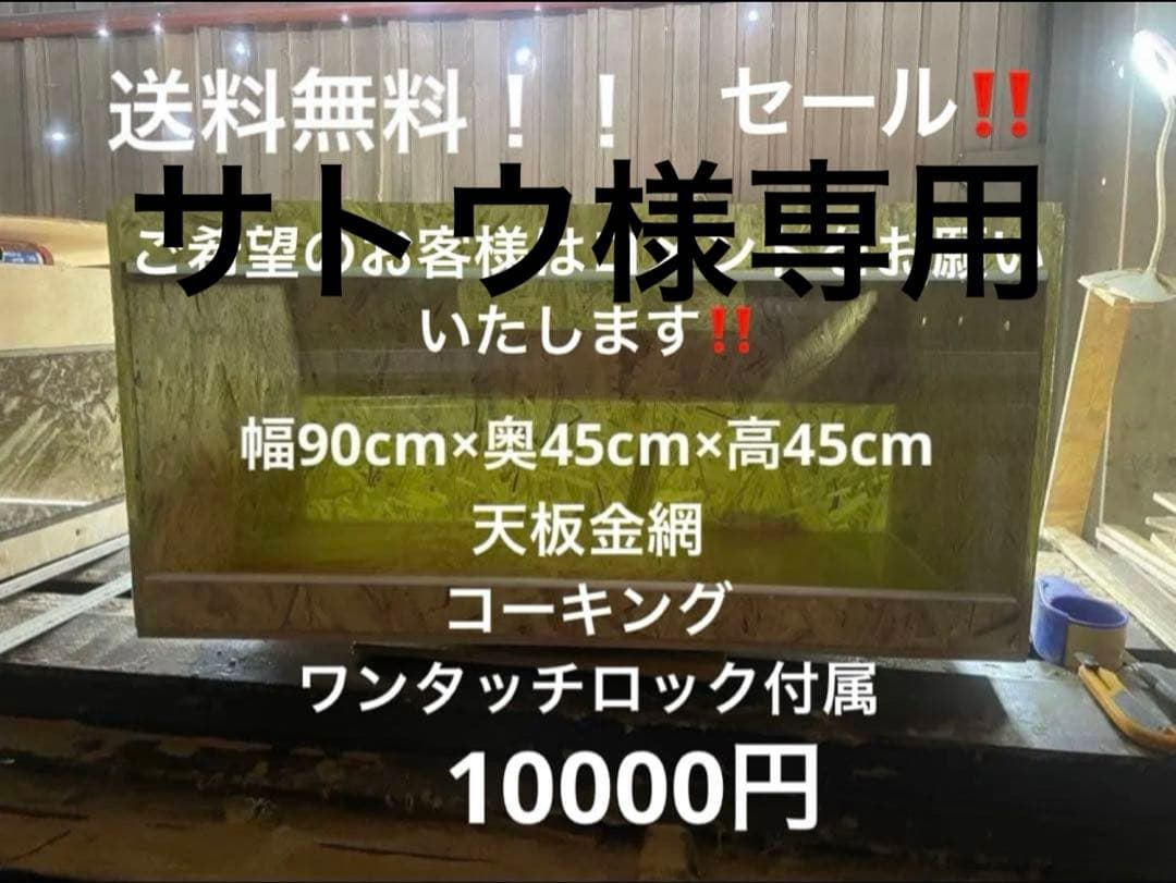 サトウ　904545