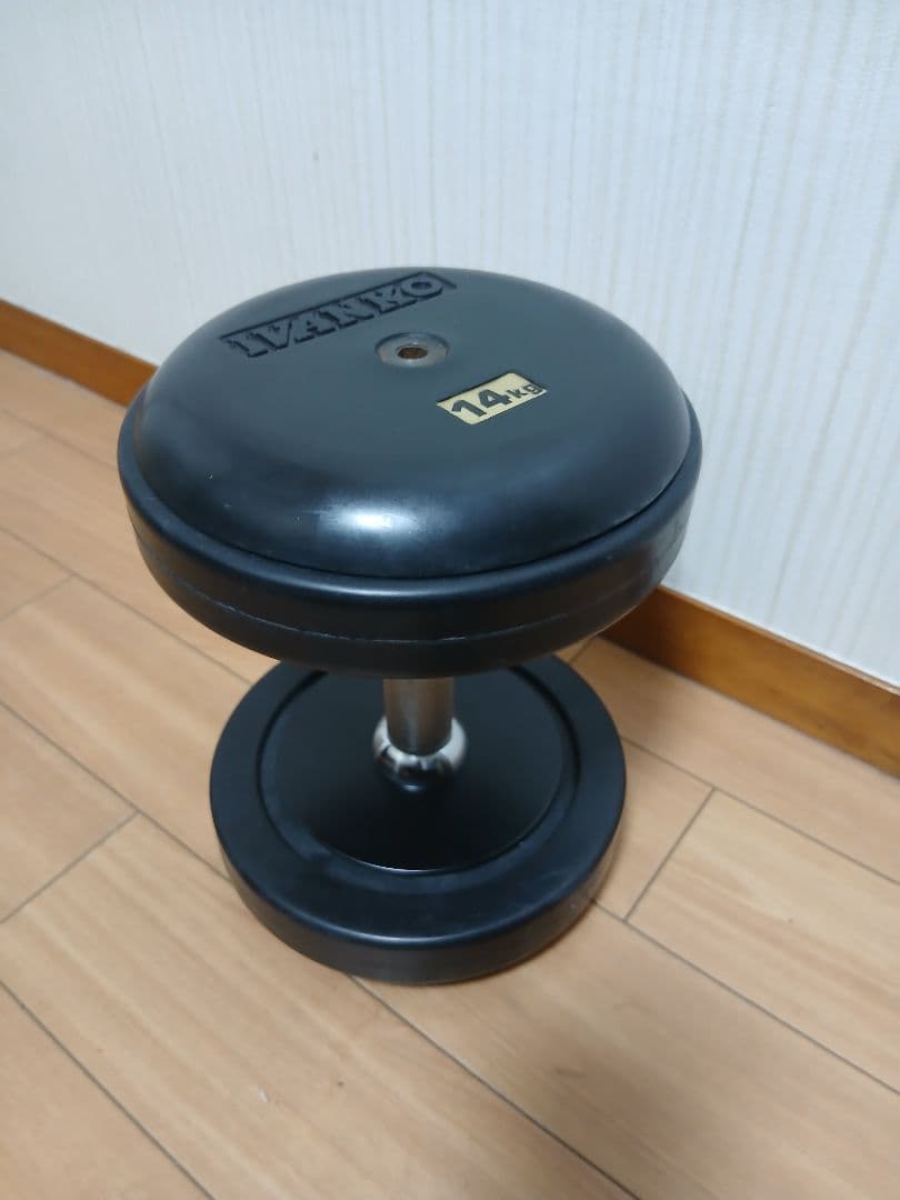 ②IVANKO(イヴァンコ) SDKR ダンベル(ラバー) 14kg x 1個
