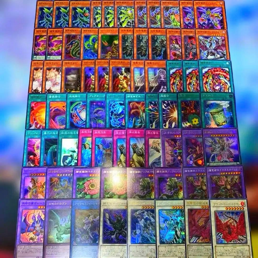 【2161】遊戯王　捕食植物デッキ　プレデタープランツcs優勝構築超逸融合　大会