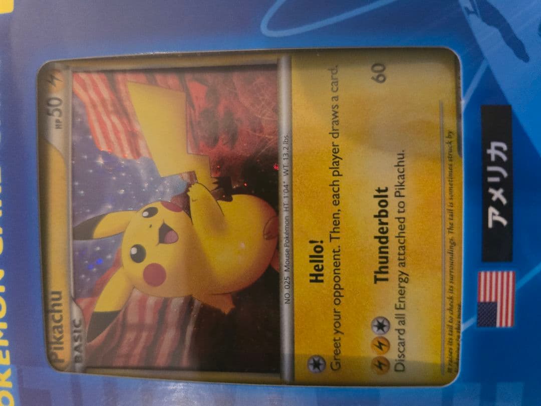 ポケモンカード【ピカチュウワールドコレクション2010】未開封