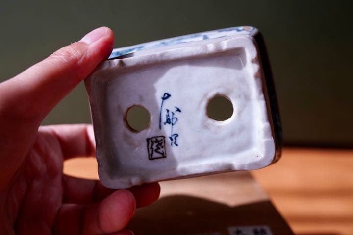 郵送無料　小品盆栽佐野大助  五彩絵　風景鉢
