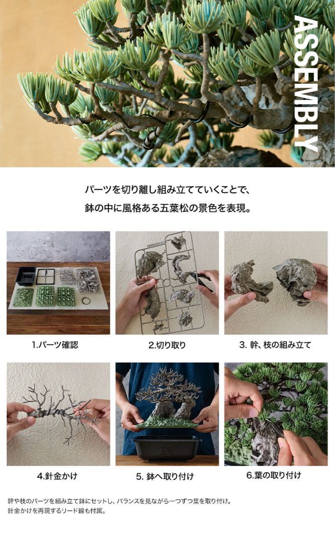 SRL X BANDAI SPIRITS BONSAI MODEL KITセット