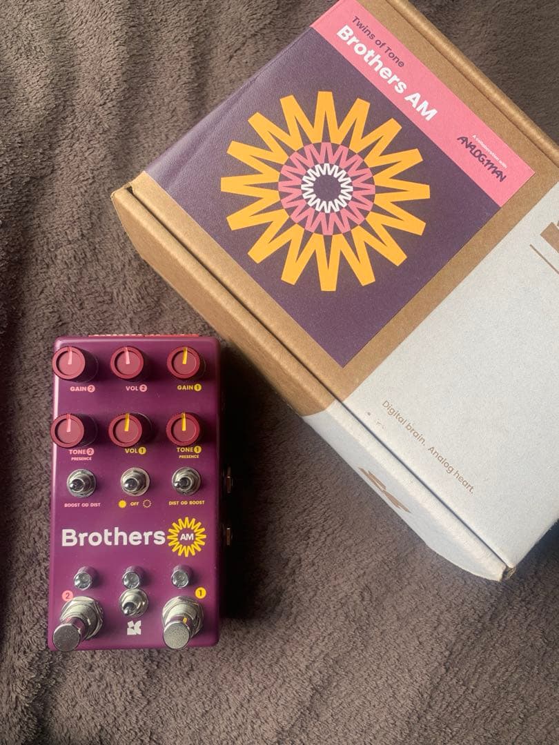 ギター Chase bliss x Analog.man Brothers AM