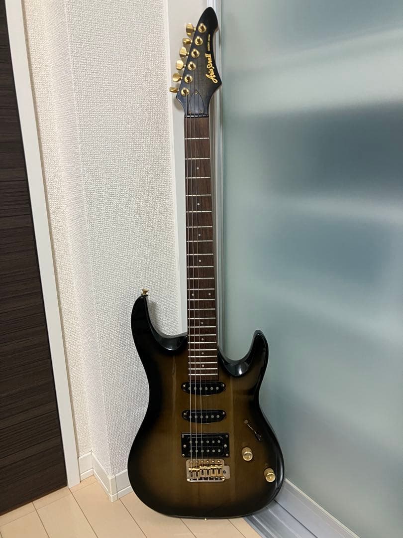 匿名発送　Aria ProⅡ MAGNA Series 1986年