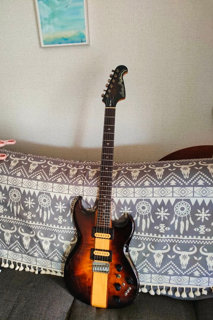aria pro Ⅱ TS-500