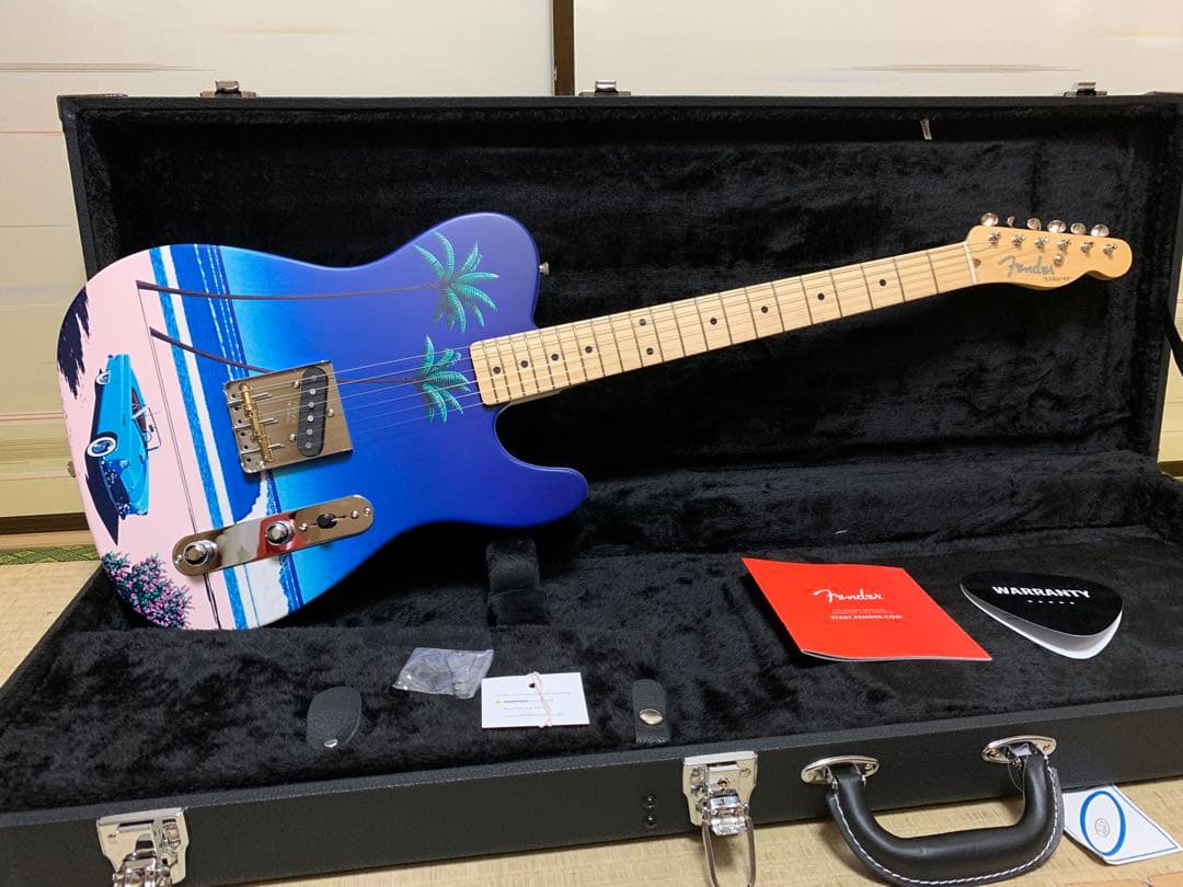 ギター Fender JAPAN ART CANVAS HIROSHI NAGAI
