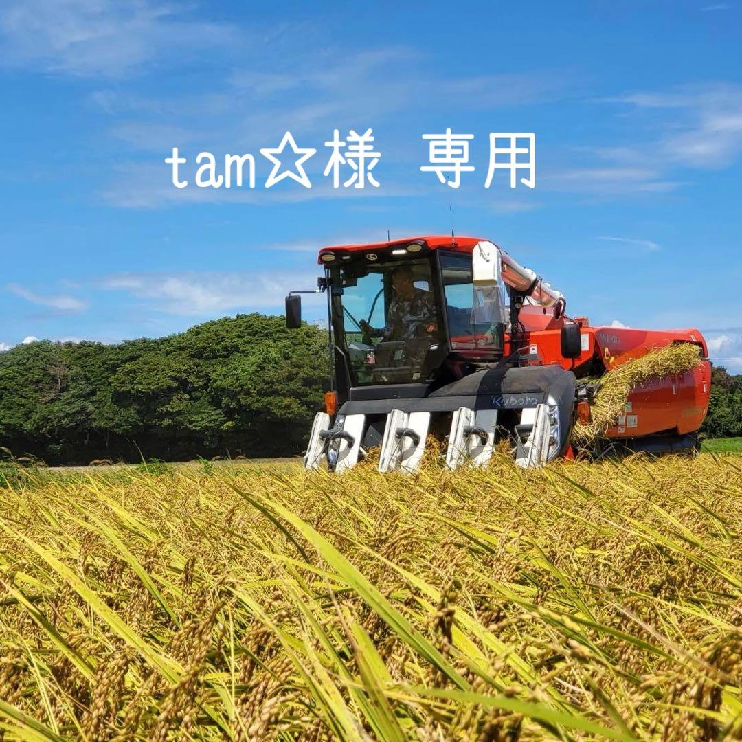 tam☆ れんげ白20