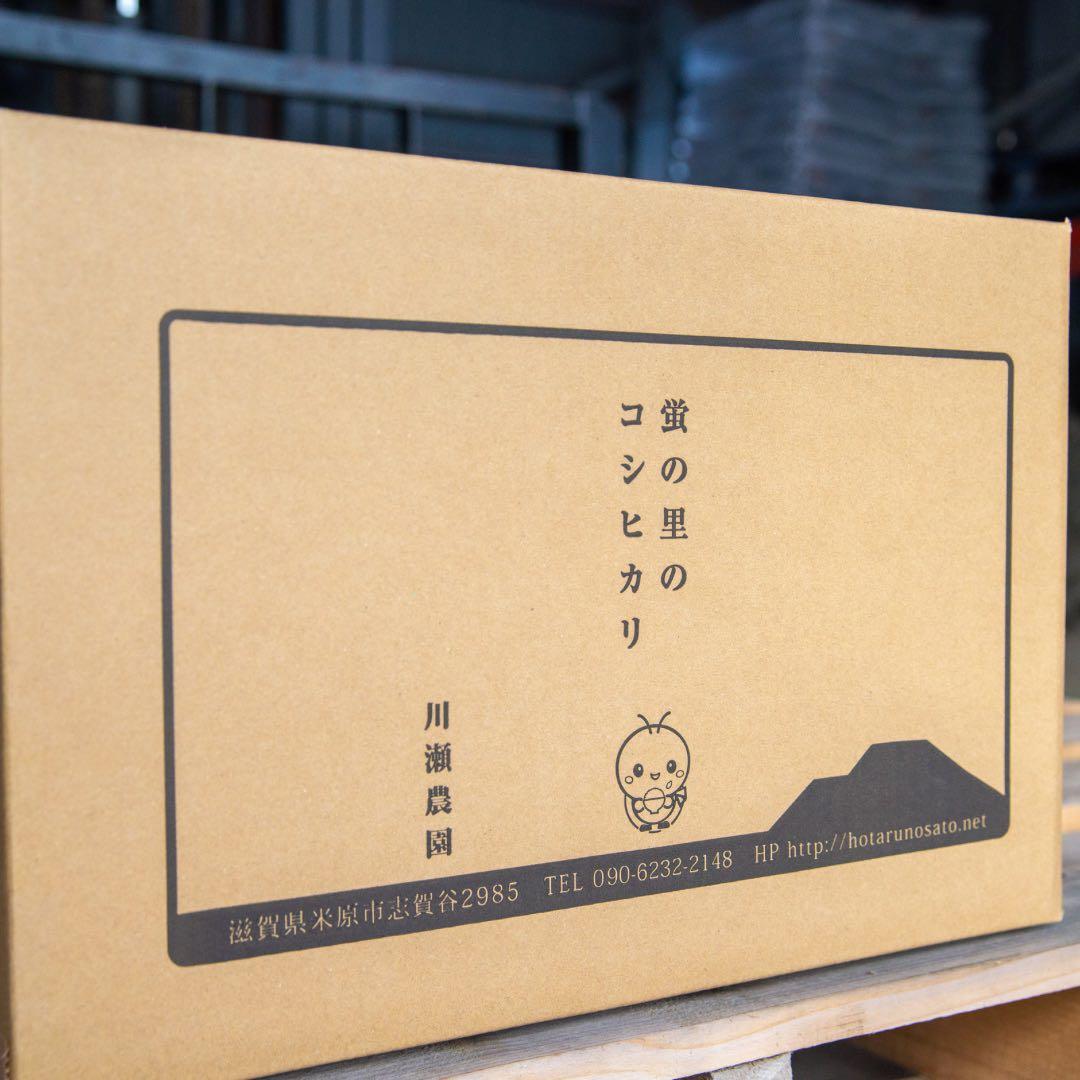 令和6年度産 コシヒカリ 30キロ 玄米 送料無料！