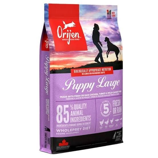 Origin オリジン ドッグフード PuppyLarge パピーラージ 大型犬