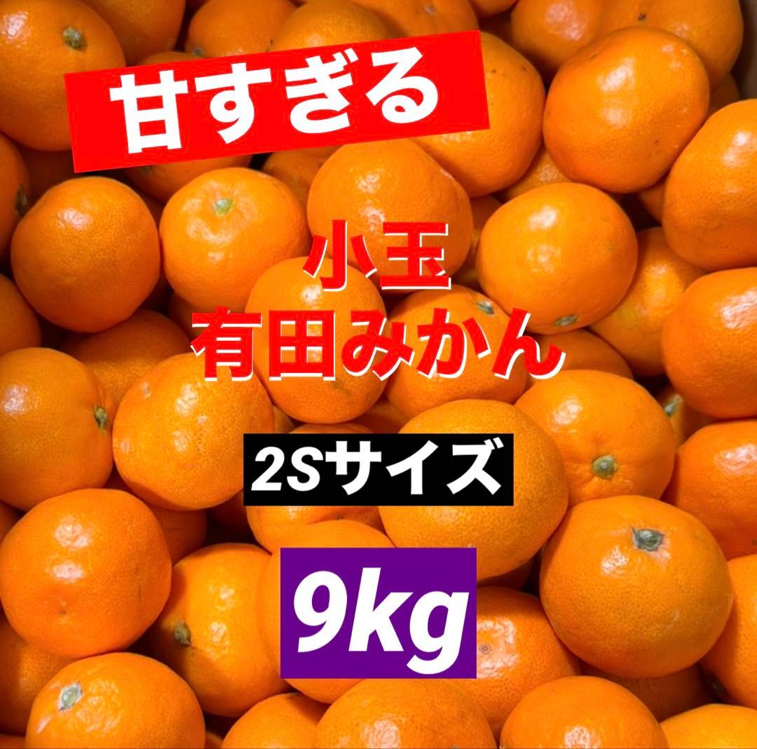 216)数量限定　甘すぎる　有田みかん　果物 　みかん　小玉　旬