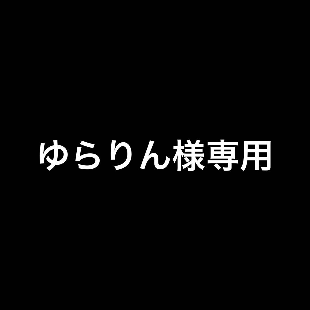 THE NORTH FACE ノースフェイス 90年代 スキーパンツ Lサイズ