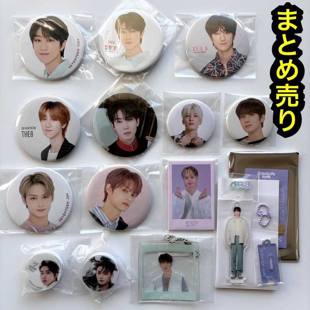 seventeen 缶バッジ　ミンハオ　ジュン　ウォヌ　ウジ　ホシ　anan