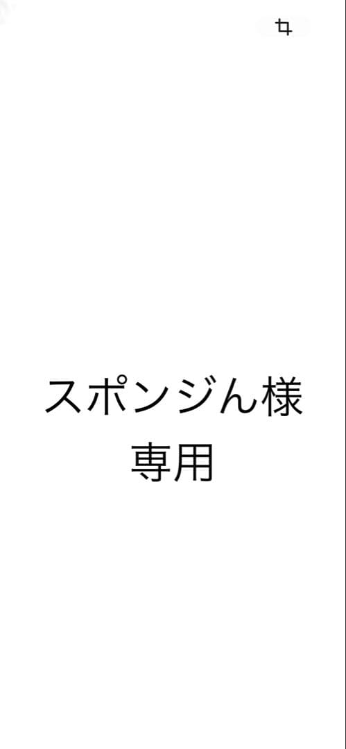 スポンジん