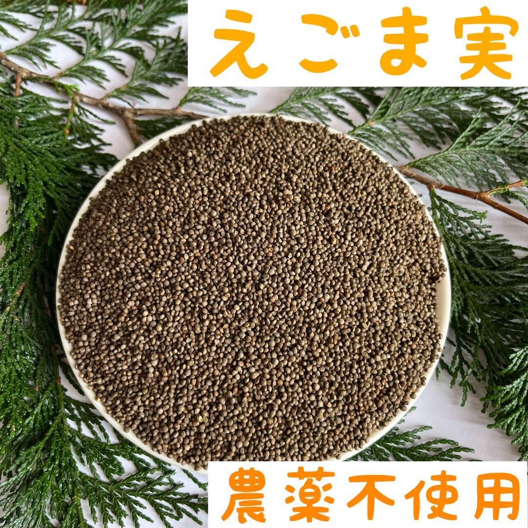 シャインさま専用