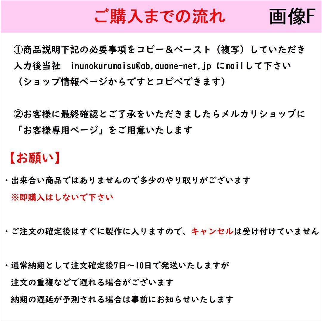 犬用車いす　散歩行こうcar 　超小型（体重1.5kg～4㎏未満）