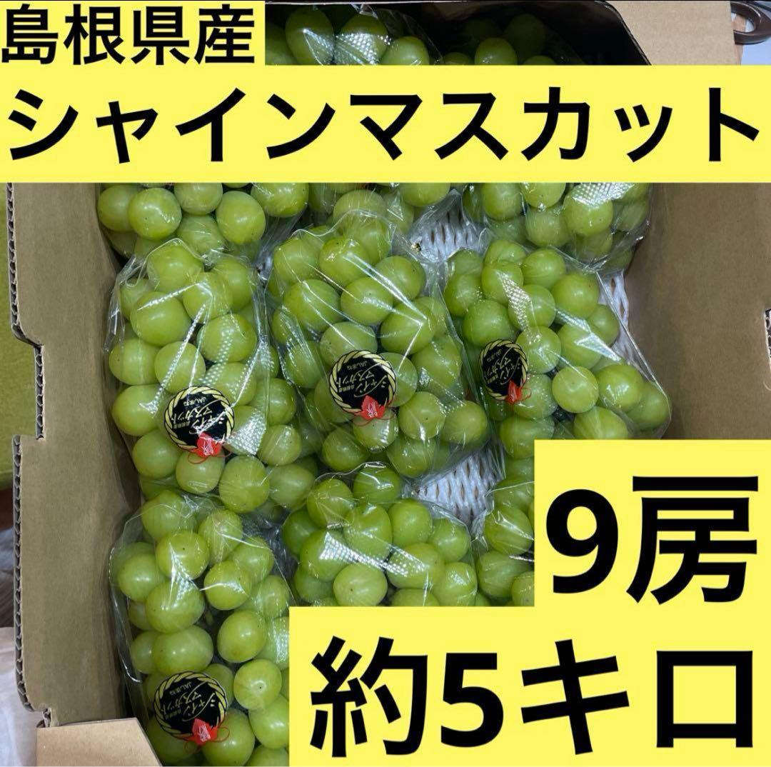 11【島根県産】シャインマスカット約5キロ