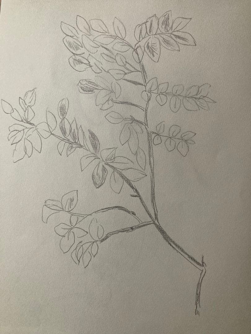 絵
