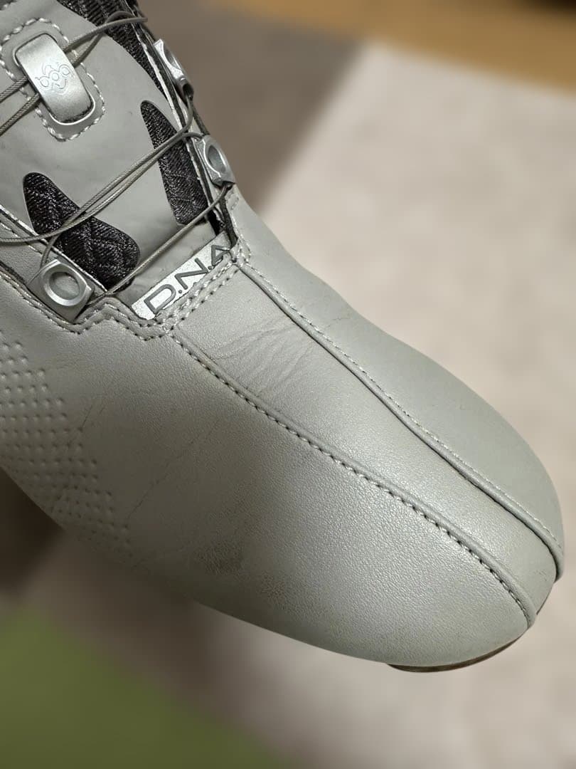 【逸品】FootJoy DNA BOA 25cm アダムスコット愛用 美品