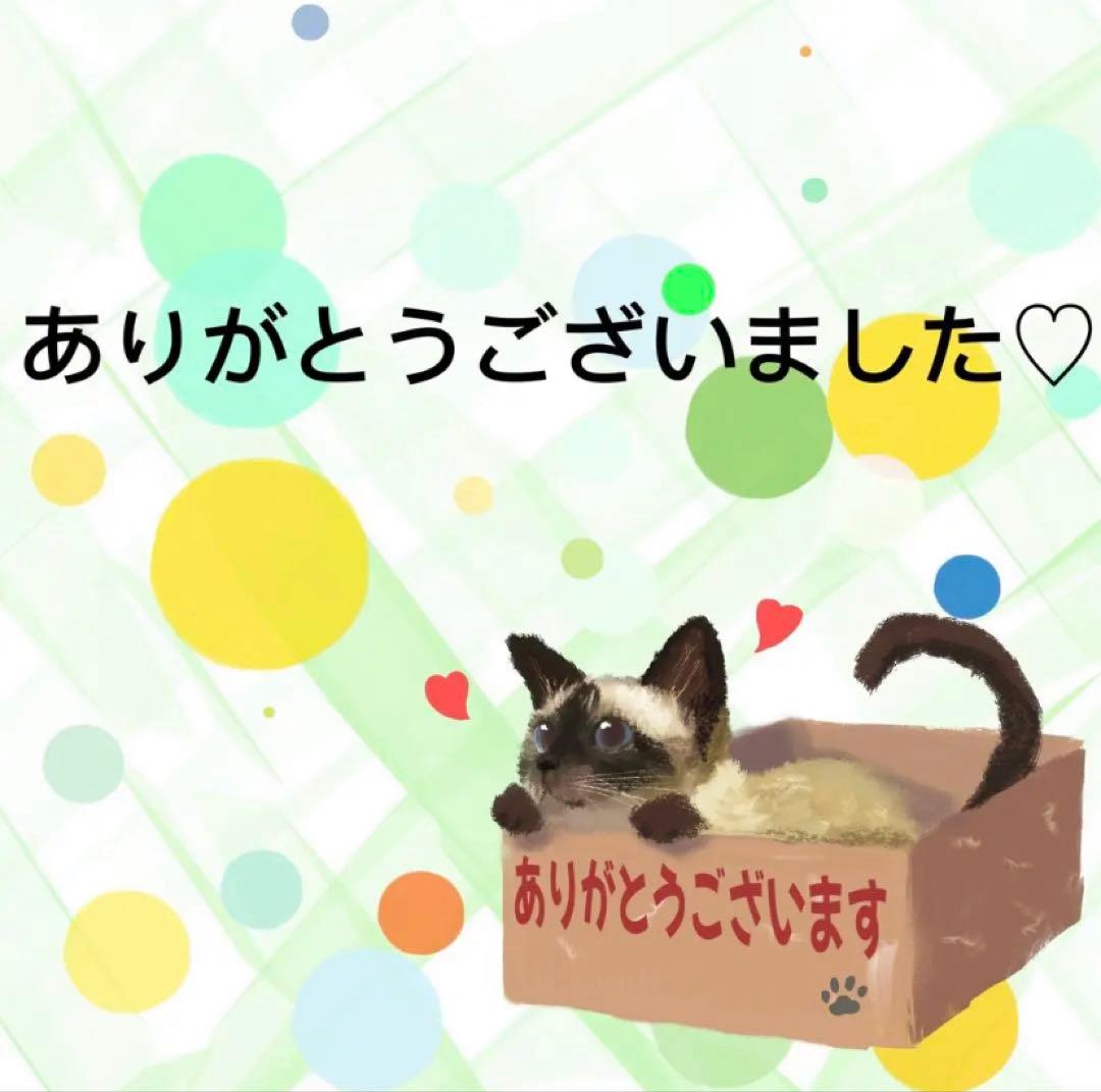 【9264】海外　マステ　中古巻　貝殻光マスキングテープ　背景装飾系