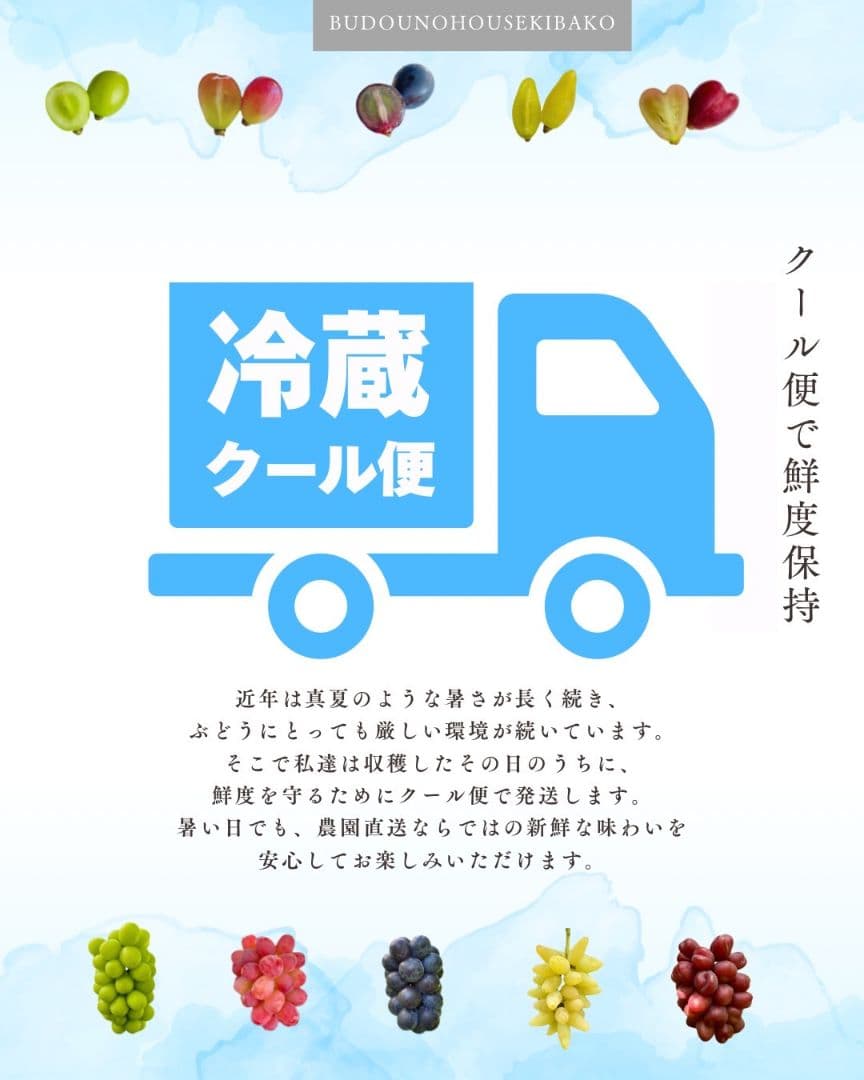 ② grape Jewelry box　粒2kg