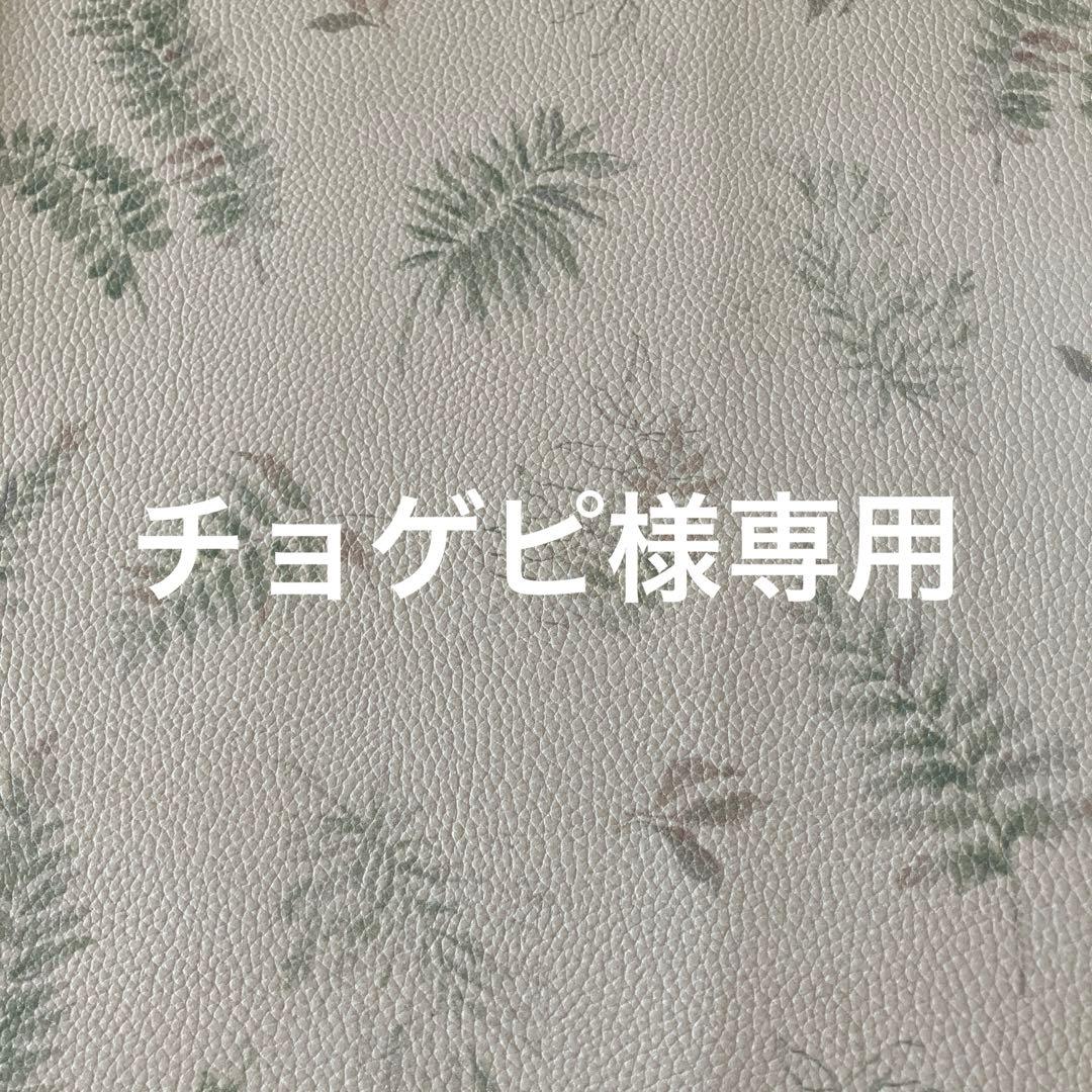 チョゲピ