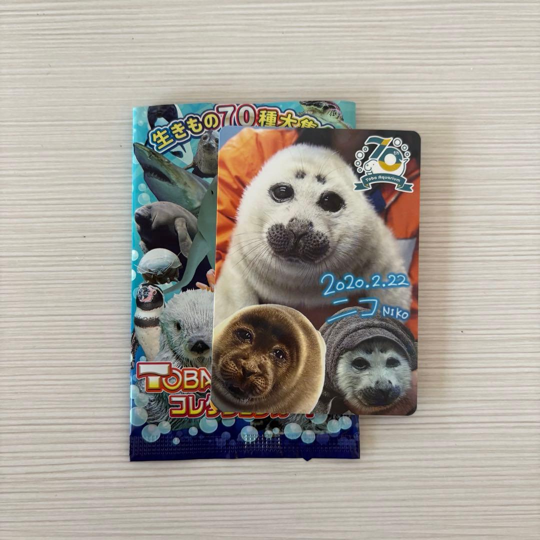 【鳥羽水族館】コレクションカード　バイカルアザラシ　ホロ