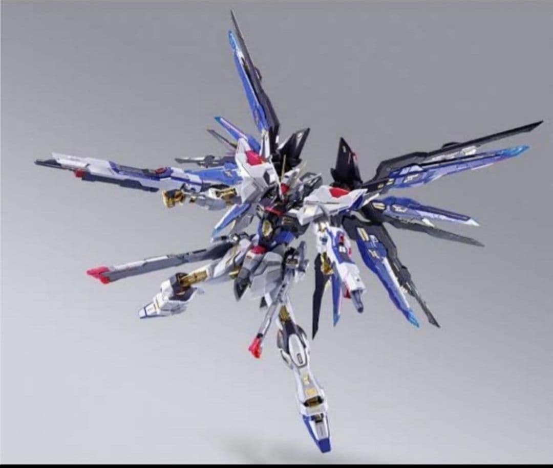 メタルビルドストライクフリーダムガンダム&光の翼 2セットL BUILD