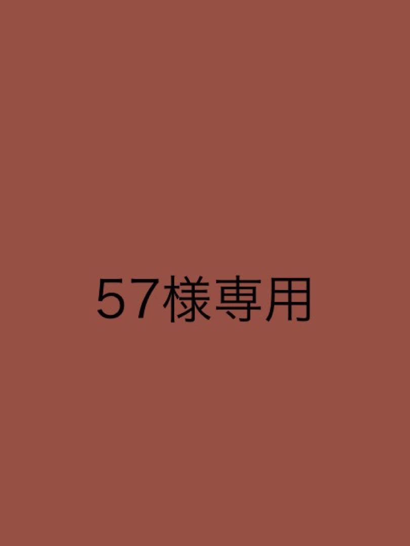 電動アシスト自転車