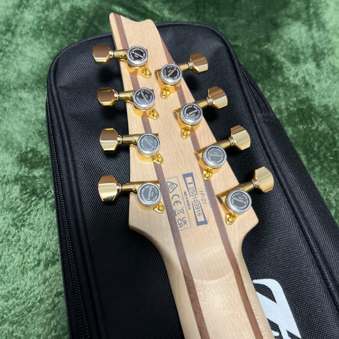 ギター Ibanez / Axe Design LabRGDMS8-CSM