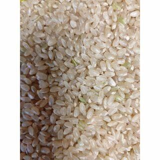 令和7年度 【湧き水栽培】農薬不使用玄米　ひとめぼれ 20㎏　奈良の農家直送