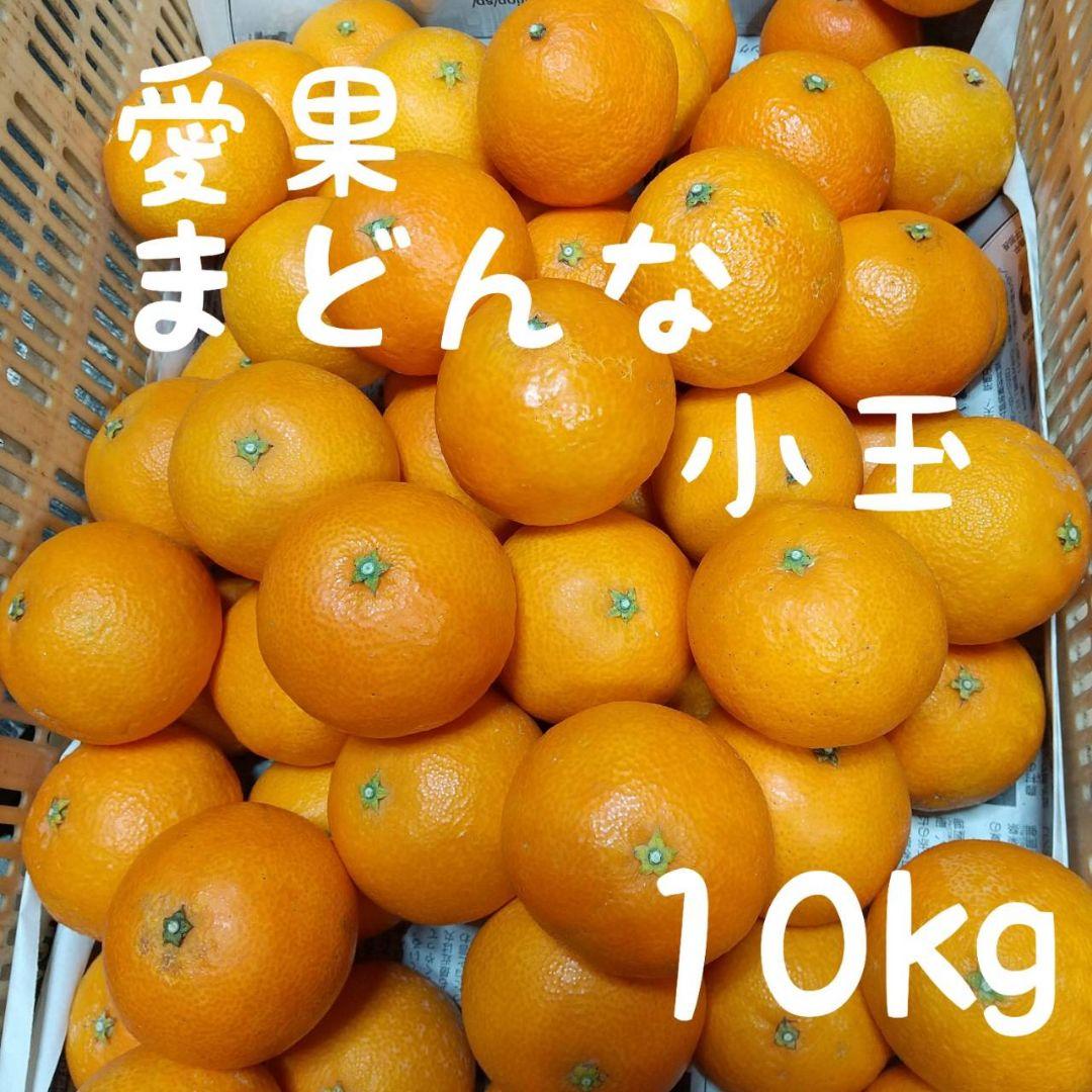 408愛果 まどんな 家庭用小玉 10kg