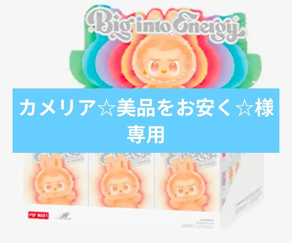 カメリア☆美品をお安く☆さま　専用　LABUBU