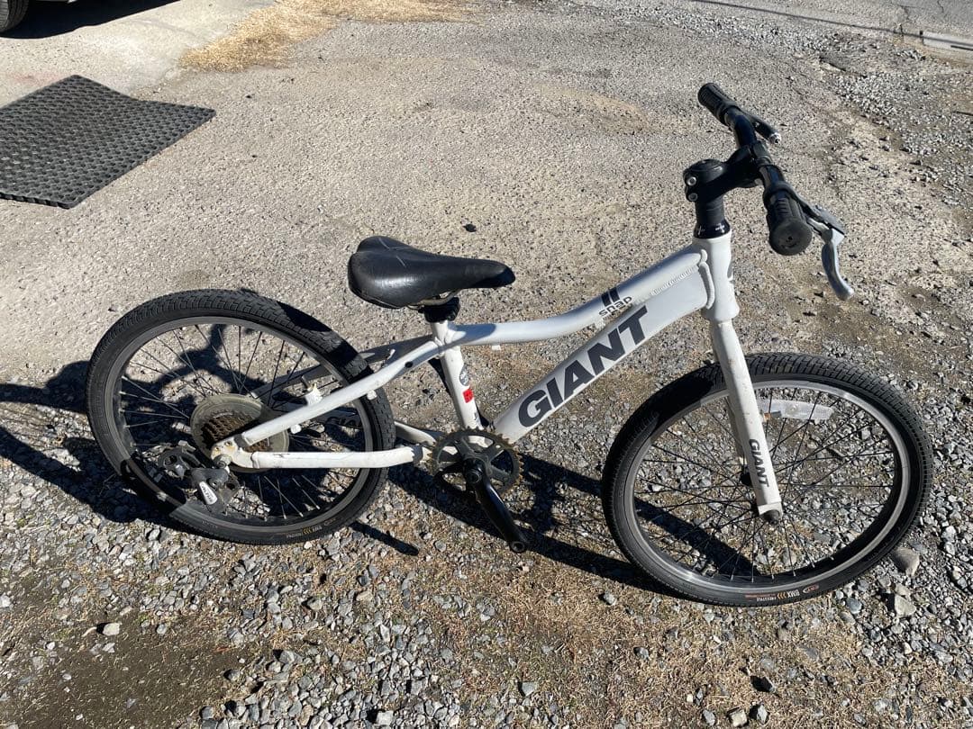 GIANT SNAP 子供用自転車 20インチ