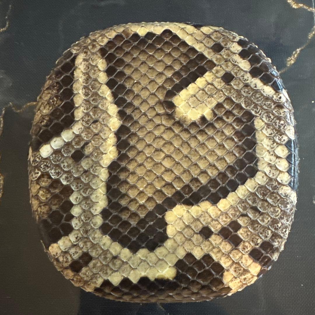 三線 チーガ
