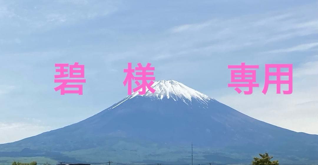 専用　ぶどう