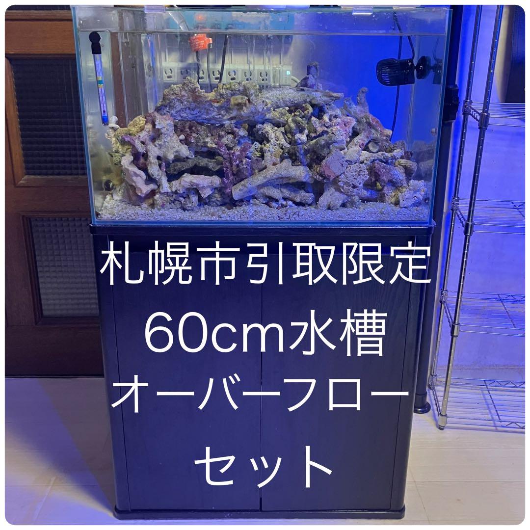 札幌市引き取り限定60cmオーバーフロー水槽セット