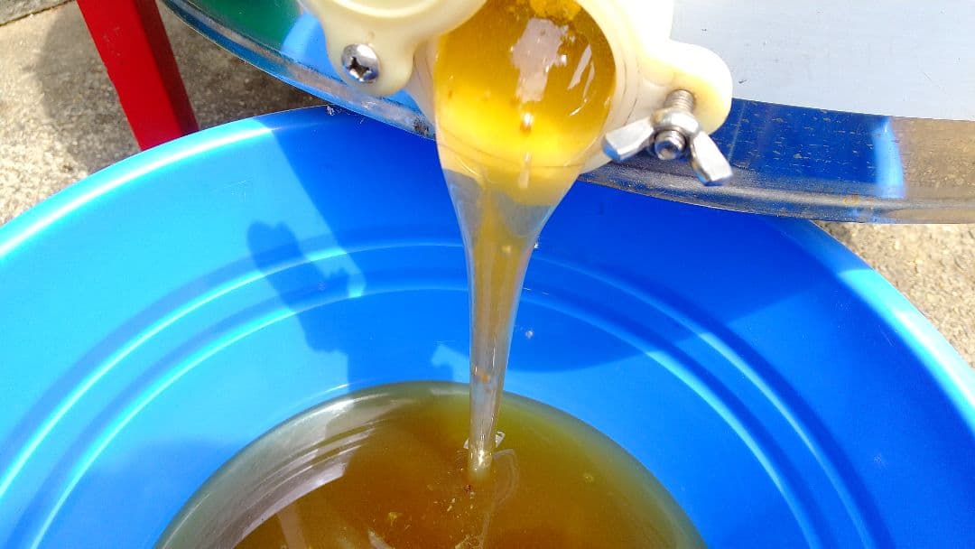 はちみつ 3kg 国産 天然 純粋 蜂蜜 3000g 【養蜂家直送】