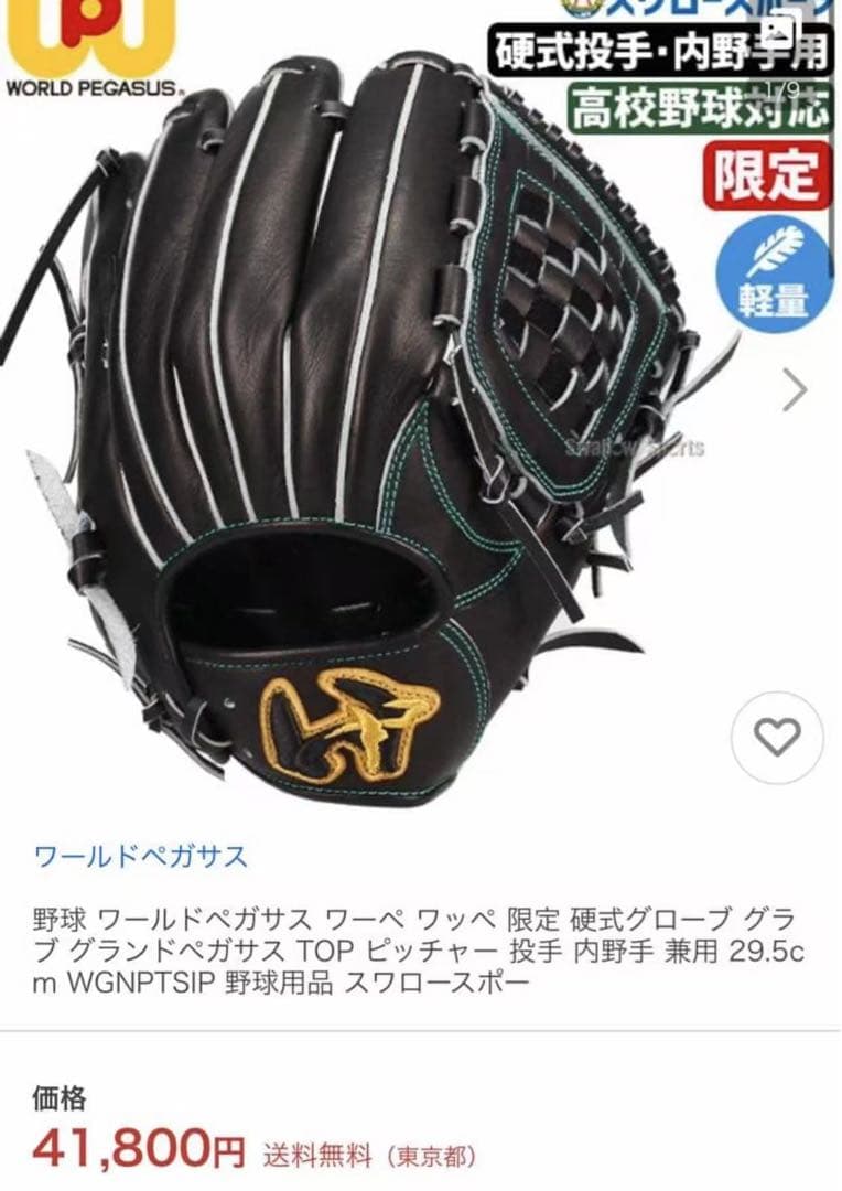 新品未使用 野球 ワールドペガサス ワーペ ワッペ 限定 硬式グローブ グラブ